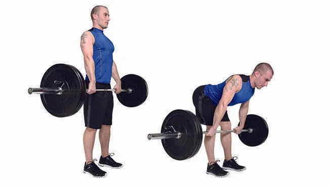 Compound Lift Series: 2. The Deadlift — figure 1