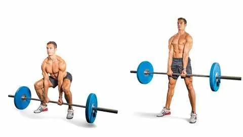 Compound Lift Series: 2. The Deadlift — figure 2