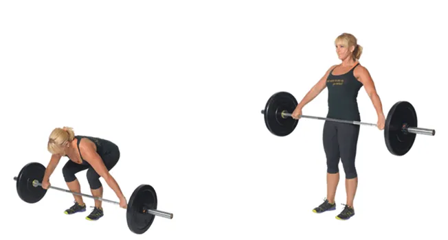 Compound Lift Series: 2. The Deadlift — figure 3