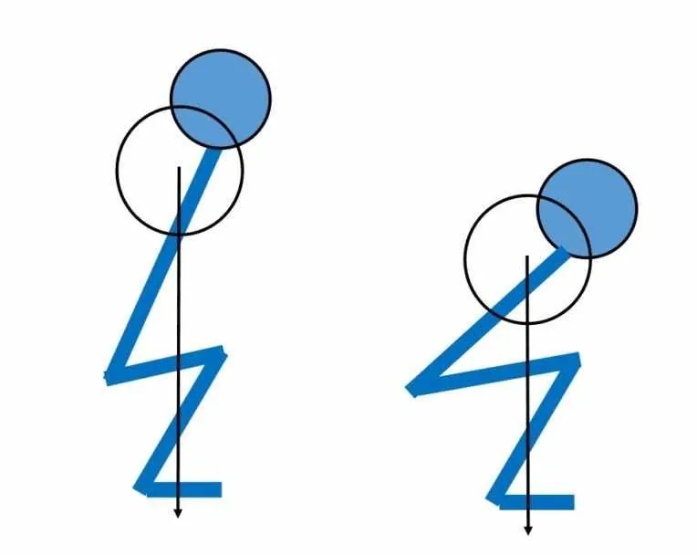 Squats – The King Of Exercises? — figure 4