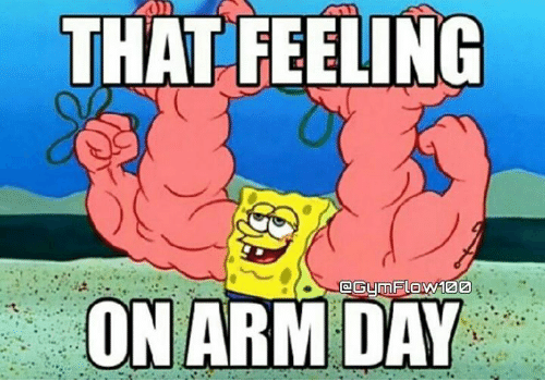arm day