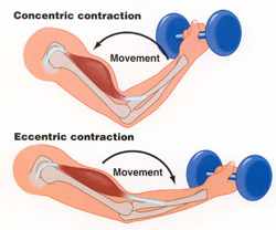 Concentric eccentric